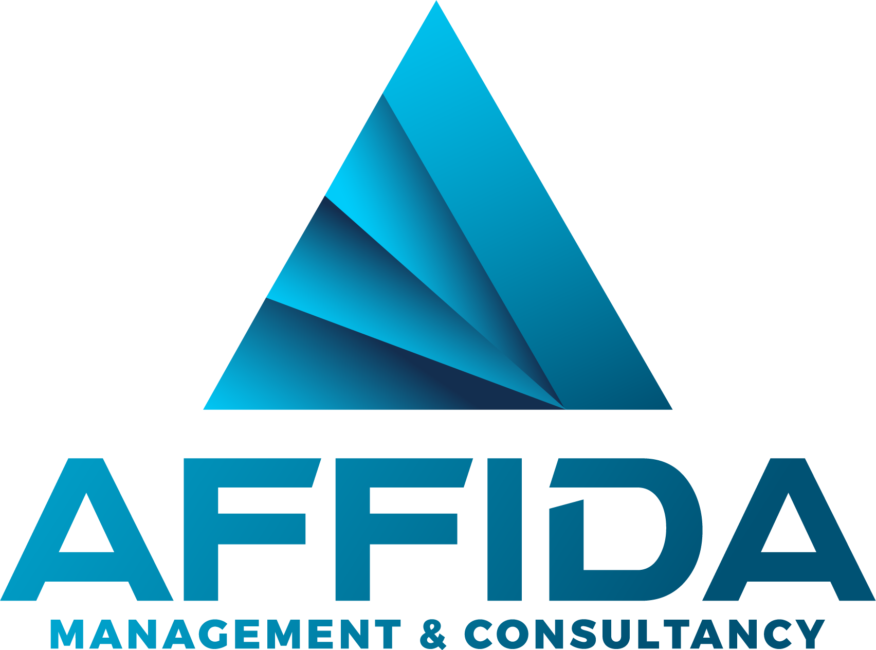 Logo Affida